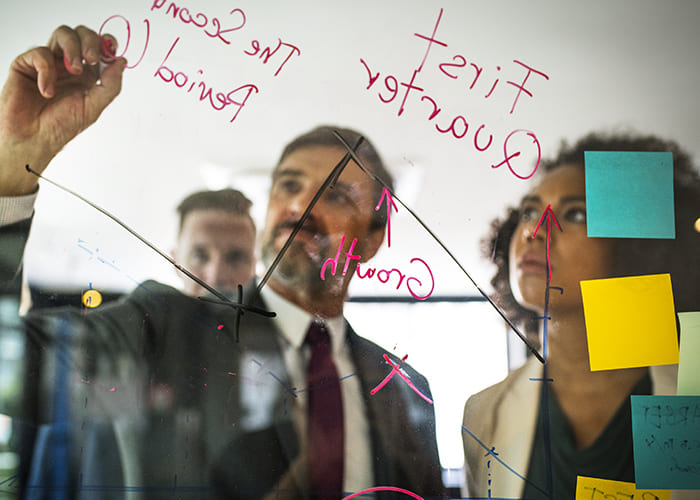 Neque mauris vitae urticle and donec ipsum porta